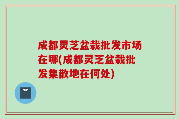 成都灵芝盆栽批发市场在哪(成都灵芝盆栽批发集散地在何处)