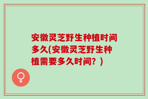 安徽灵芝野生种植时间多久(安徽灵芝野生种植需要多久时间？)