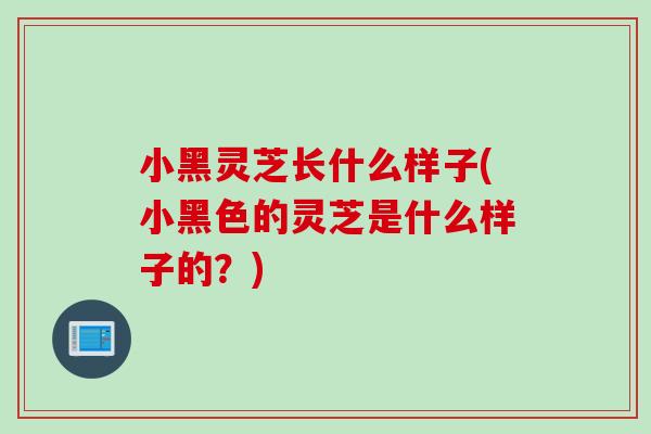 小黑灵芝长什么样子(小黑色的灵芝是什么样子的？)