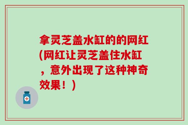 拿灵芝盖水缸的的网红(网红让灵芝盖住水缸,意外出现了这种神奇效果!) 拿灵芝盖水缸的的网红(网红让灵芝盖住水缸,意外出现了这种神奇效果!)