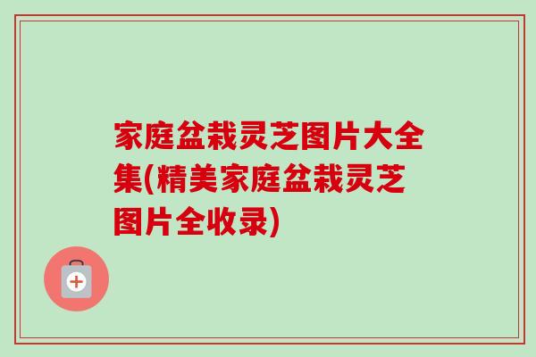 家庭盆栽灵芝图片大全集(精美家庭盆栽灵芝图片全收录) 家庭盆栽灵芝图片大全集(精美家庭盆栽灵芝图片全收录)