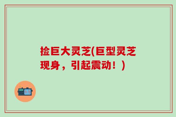 捡巨大灵芝(巨型灵芝现身,引起震动!) 捡巨大灵芝(巨型灵芝现身,引起震动!)