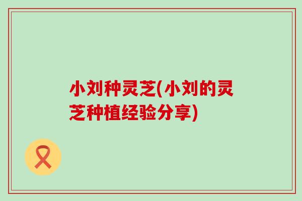 小刘种灵芝(小刘的灵芝种植经验分享) 小刘种灵芝(小刘的灵芝种植经验分享)