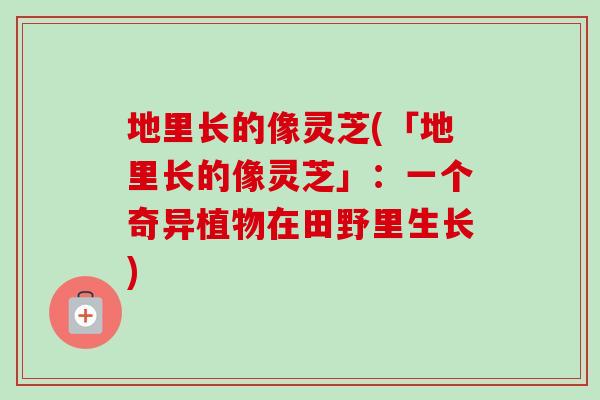 地里长的像灵芝(「地里长的像灵芝」:一个奇异植物在田野里生长) 地里长的像灵芝(「地里长的像灵芝」:一个奇异植物在田野里生长)