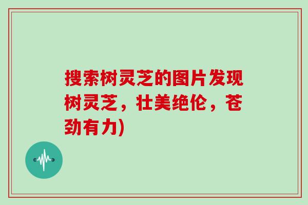 搜索树灵芝的图片发现树灵芝,壮美绝伦,苍劲有力) 搜索树灵芝的图片发现树灵芝,壮美绝伦,苍劲有力)
