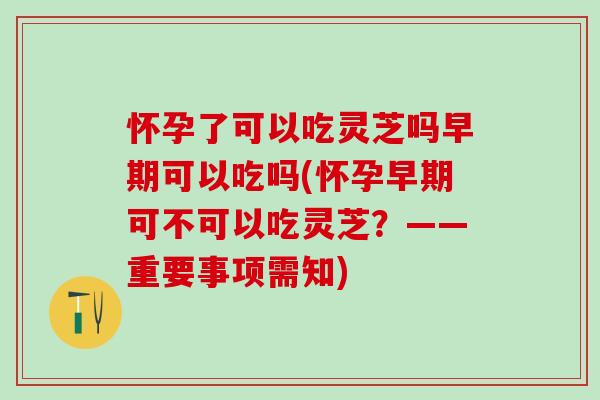 怀孕了可以吃灵芝吗早期可以吃吗(怀孕早期可不可以吃灵芝?——重要事项需知) 怀孕了可以吃灵芝吗早期可以吃吗(怀孕早期可不可以吃灵芝?——重要事项需知)