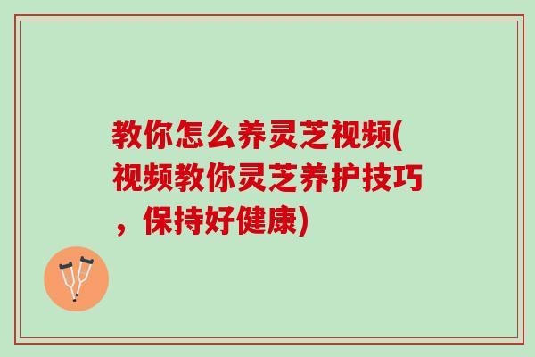 教你怎么养灵芝视频(视频教你灵芝养护技巧,保持好健康) 教你怎么养灵芝视频(视频教你灵芝养护技巧,保持好健康)