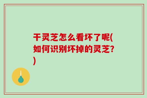 干灵芝怎么看坏了呢(如何识别坏掉的灵芝?) 干灵芝怎么看坏了呢(如何识别坏掉的灵芝?)