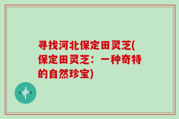 寻找河北保定田灵芝(保定田灵芝：一种奇特的自然珍宝)