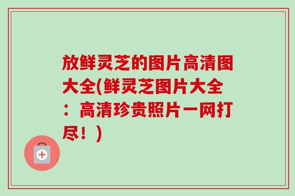 放鲜灵芝的图片高清图大全(鲜灵芝图片大全:高清珍贵照片一网打尽!) 放鲜灵芝的图片高清图大全(鲜灵芝图片大全:高清珍贵照片一网打尽!)