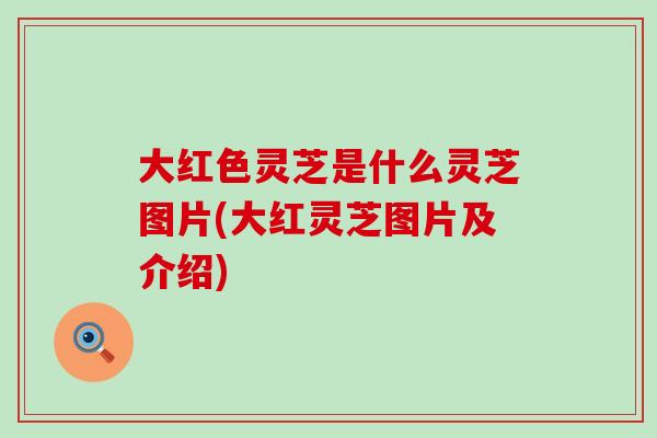 大红色灵芝是什么灵芝图片(大红灵芝图片及介绍) 大红色灵芝是什么灵芝图片(大红灵芝图片及介绍)