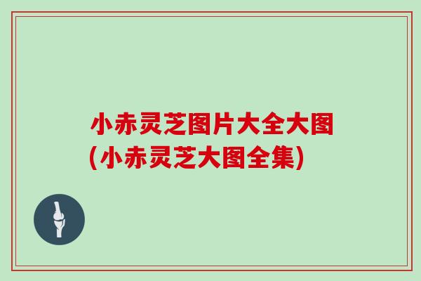 小赤灵芝图片大全大图(小赤灵芝大图全集) 小赤灵芝图片大全大图(小赤灵芝大图全集)