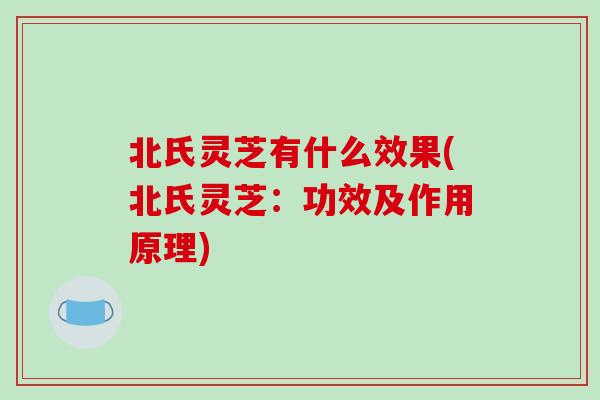 北氏灵芝有什么效果(北氏灵芝：功效及作用原理)