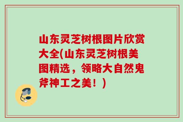 山东灵芝树根图片欣赏大全(山东灵芝树根美图精选,领略大自然鬼斧神工之美!) 山东灵芝树根图片欣赏大全(山东灵芝树根美图精选,领略大自然鬼斧神工之美!)