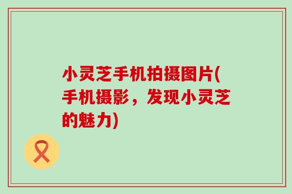 小灵芝手机拍摄图片(手机摄影,发现小灵芝的魅力) 小灵芝手机拍摄图片(手机摄影,发现小灵芝的魅力)