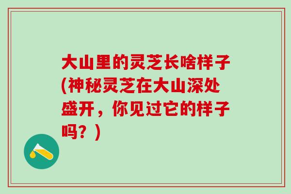大山里的灵芝长啥样子(神秘灵芝在大山深处盛开，你见过它的样子吗？)