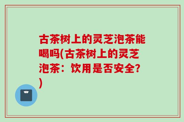 古茶树上的灵芝泡茶能喝吗(古茶树上的灵芝泡茶:饮用是否安全?) 古茶树上的灵芝泡茶能喝吗(古茶树上的灵芝泡茶:饮用是否安全?)