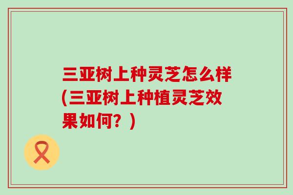 三亚树上种灵芝怎么样(三亚树上种植灵芝效果如何?) 三亚树上种灵芝怎么样(三亚树上种植灵芝效果如何?)