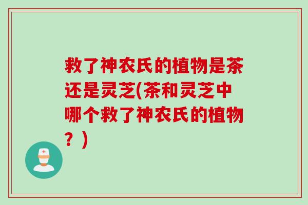 救了神农氏的植物是茶还是灵芝(茶和灵芝中哪个救了神农氏的植物?) 救了神农氏的植物是茶还是灵芝(茶和灵芝中哪个救了神农氏的植物?)