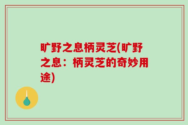 旷野之息柄灵芝(旷野之息：柄灵芝的奇妙用途)