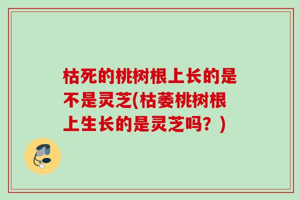 枯死的桃树根上长的是不是灵芝(枯萎桃树根上生长的是灵芝吗?) 枯死的桃树根上长的是不是灵芝(枯萎桃树根上生长的是灵芝吗?)