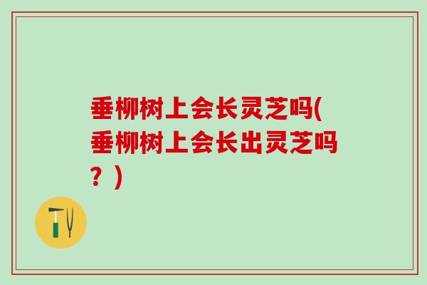 垂柳树上会长灵芝吗(垂柳树上会长出灵芝吗?) 垂柳树上会长灵芝吗(垂柳树上会长出灵芝吗?)