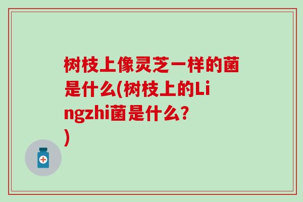 树枝上像灵芝一样的菌是什么(树枝上的Lingzhi菌是什么?) 树枝上像灵芝一样的菌是什么(树枝上的Lingzhi菌是什么?)
