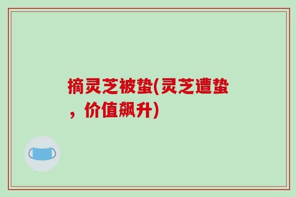 摘灵芝被蛰(灵芝遭蛰,价值飙升) 摘灵芝被蛰(灵芝遭蛰,价值飙升)