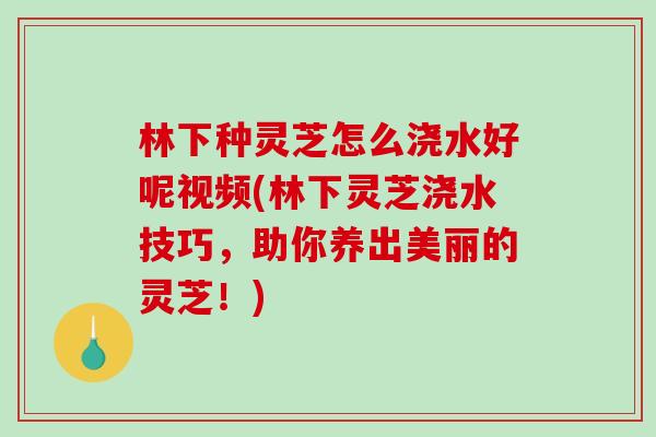 林下种灵芝怎么浇水好呢视频(林下灵芝浇水技巧,助你养出美丽的灵芝!) 林下种灵芝怎么浇水好呢视频(林下灵芝浇水技巧,助你养出美丽的灵芝!)