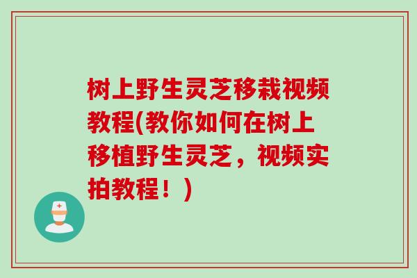 树上野生灵芝移栽视频教程(教你如何在树上移植野生灵芝，视频实拍教程！)