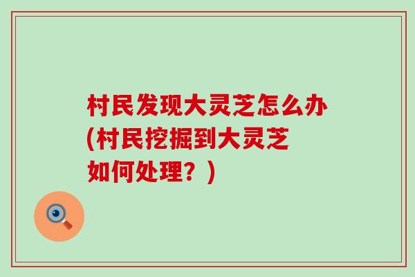 村民发现大灵芝怎么办(村民挖掘到大灵芝 如何处理？)