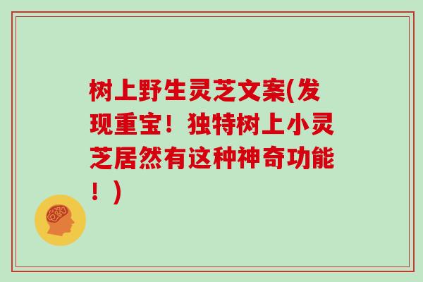 树上野生灵芝文案(发现重宝!独特树上小灵芝居然有这种神奇功能!) 树上野生灵芝文案(发现重宝!独特树上小灵芝居然有这种神奇功能!)