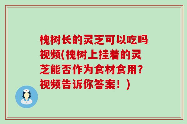 槐树长的灵芝可以吃吗视频(槐树上挂着的灵芝能否作为食材食用?视频告诉你答案!) 槐树长的灵芝可以吃吗视频(槐树上挂着的灵芝能否作为食材食用?视频告诉你答案!)