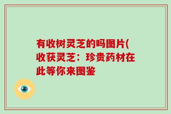 有收树灵芝的吗图片(收获灵芝:珍贵药材在此等你来图鉴 有收树灵芝的吗图片(收获灵芝:珍贵药材在此等你来图鉴
