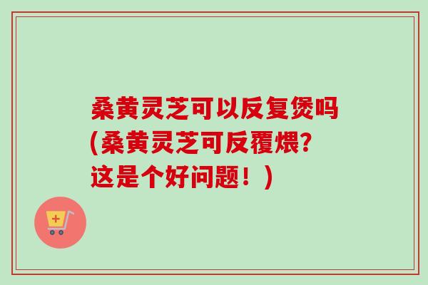 桑黄灵芝可以反复煲吗(桑黄灵芝可反覆煨？这是个好问题！)