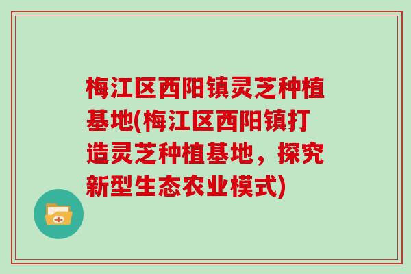 梅江区西阳镇灵芝种植基地(梅江区西阳镇打造灵芝种植基地,探究新型生态农业模式) 梅江区西阳镇灵芝种植基地(梅江区西阳镇打造灵芝种植基地,探究新型生态农业模式)