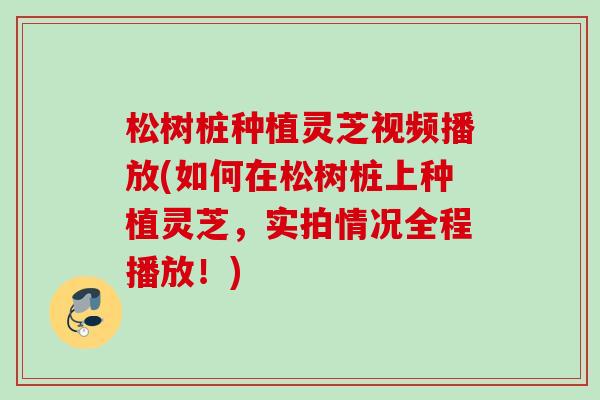 松树桩种植灵芝视频播放(如何在松树桩上种植灵芝,实拍情况全程播放!) 松树桩种植灵芝视频播放(如何在松树桩上种植灵芝,实拍情况全程播放!)