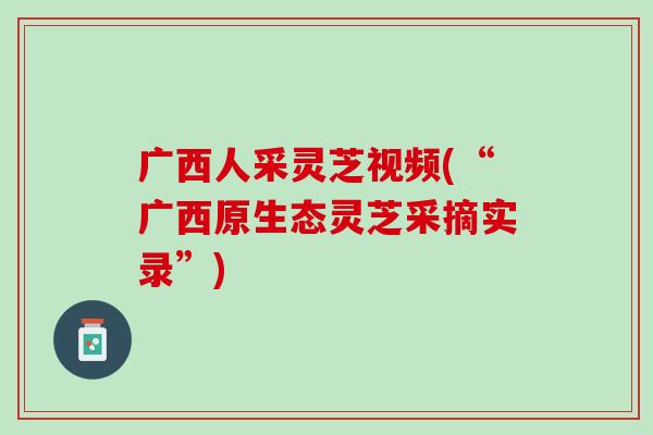 广西人采灵芝视频(“广西原生态灵芝采摘实录”) 广西人采灵芝视频(“广西原生态灵芝采摘实录”)