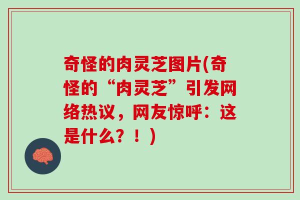 奇怪的肉灵芝图片(奇怪的“肉灵芝”引发网络热议,网友惊呼:这是什么?!) 奇怪的肉灵芝图片(奇怪的“肉灵芝”引发网络热议,网友惊呼:这是什么?!)