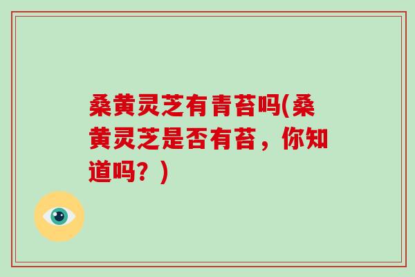桑黄灵芝有青苔吗(桑黄灵芝是否有苔,你知道吗?) 桑黄灵芝有青苔吗(桑黄灵芝是否有苔,你知道吗?)