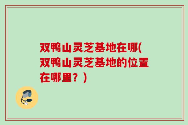 双鸭山灵芝基地在哪(双鸭山灵芝基地的位置在哪里？)