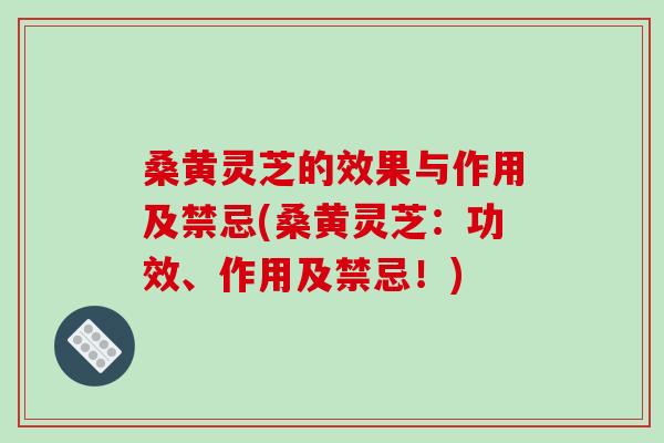 桑黄灵芝的效果与作用及禁忌(桑黄灵芝:功效、作用及禁忌!) 桑黄灵芝的效果与作用及禁忌(桑黄灵芝:功效、作用及禁忌!)