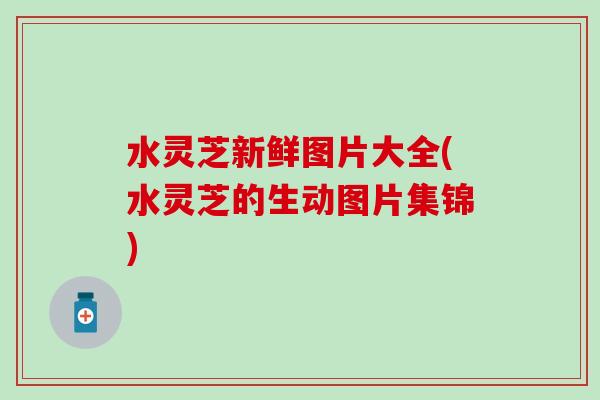 水灵芝新鲜图片大全(水灵芝的生动图片集锦) 水灵芝新鲜图片大全(水灵芝的生动图片集锦)