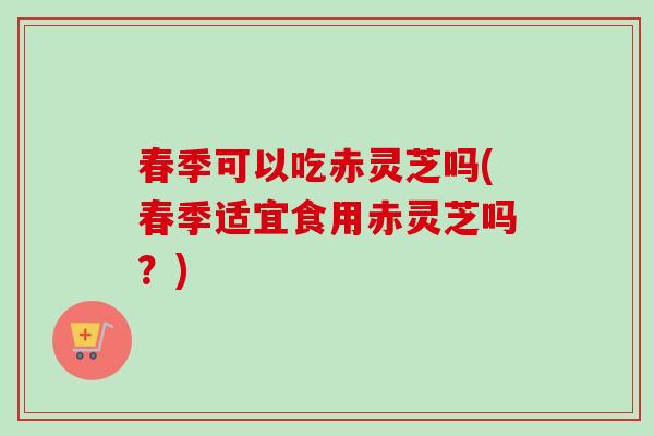 春季可以吃赤灵芝吗(春季适宜食用赤灵芝吗?) 春季可以吃赤灵芝吗(春季适宜食用赤灵芝吗?)