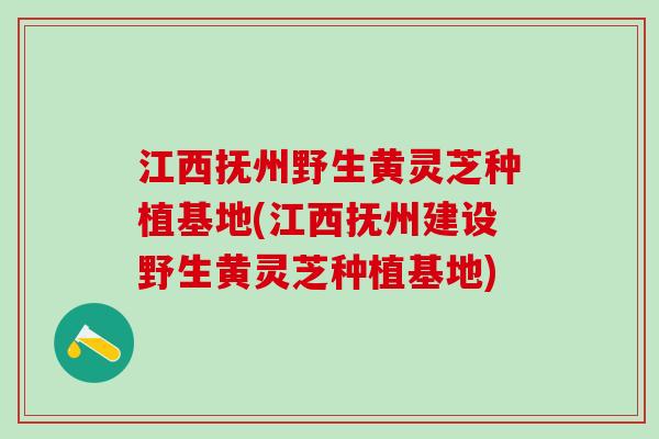 江西抚州野生黄灵芝种植基地(江西抚州建设野生黄灵芝种植基地) 江西抚州野生黄灵芝种植基地(江西抚州建设野生黄灵芝种植基地)