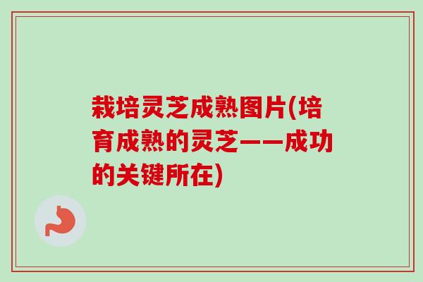 栽培灵芝成熟图片(培育成熟的灵芝——成功的关键所在) 栽培灵芝成熟图片(培育成熟的灵芝——成功的关键所在)