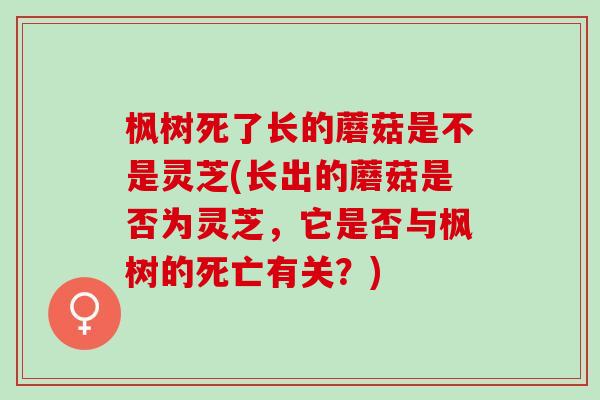 枫树死了长的蘑菇是不是灵芝(长出的蘑菇是否为灵芝,它是否与枫树的死亡有关?) 枫树死了长的蘑菇是不是灵芝(长出的蘑菇是否为灵芝,它是否与枫树的死亡有关?)