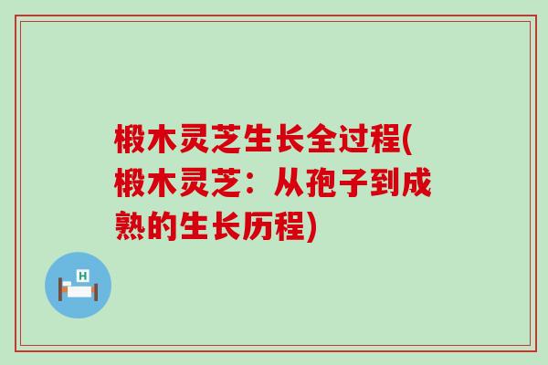椴木灵芝生长全过程(椴木灵芝:从孢子到成熟的生长历程) 椴木灵芝生长全过程(椴木灵芝:从孢子到成熟的生长历程)