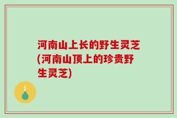 河南山上长的野生灵芝(河南山顶上的珍贵野生灵芝) 河南山上长的野生灵芝(河南山顶上的珍贵野生灵芝)