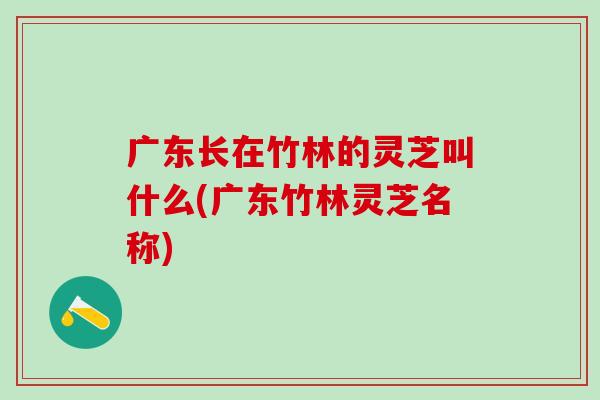 广东长在竹林的灵芝叫什么(广东竹林灵芝名称) 广东长在竹林的灵芝叫什么(广东竹林灵芝名称)